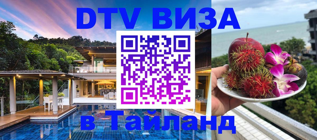 Оформление DTV визы под ключ: стоимость и тарифы, только загранпаспорт - 